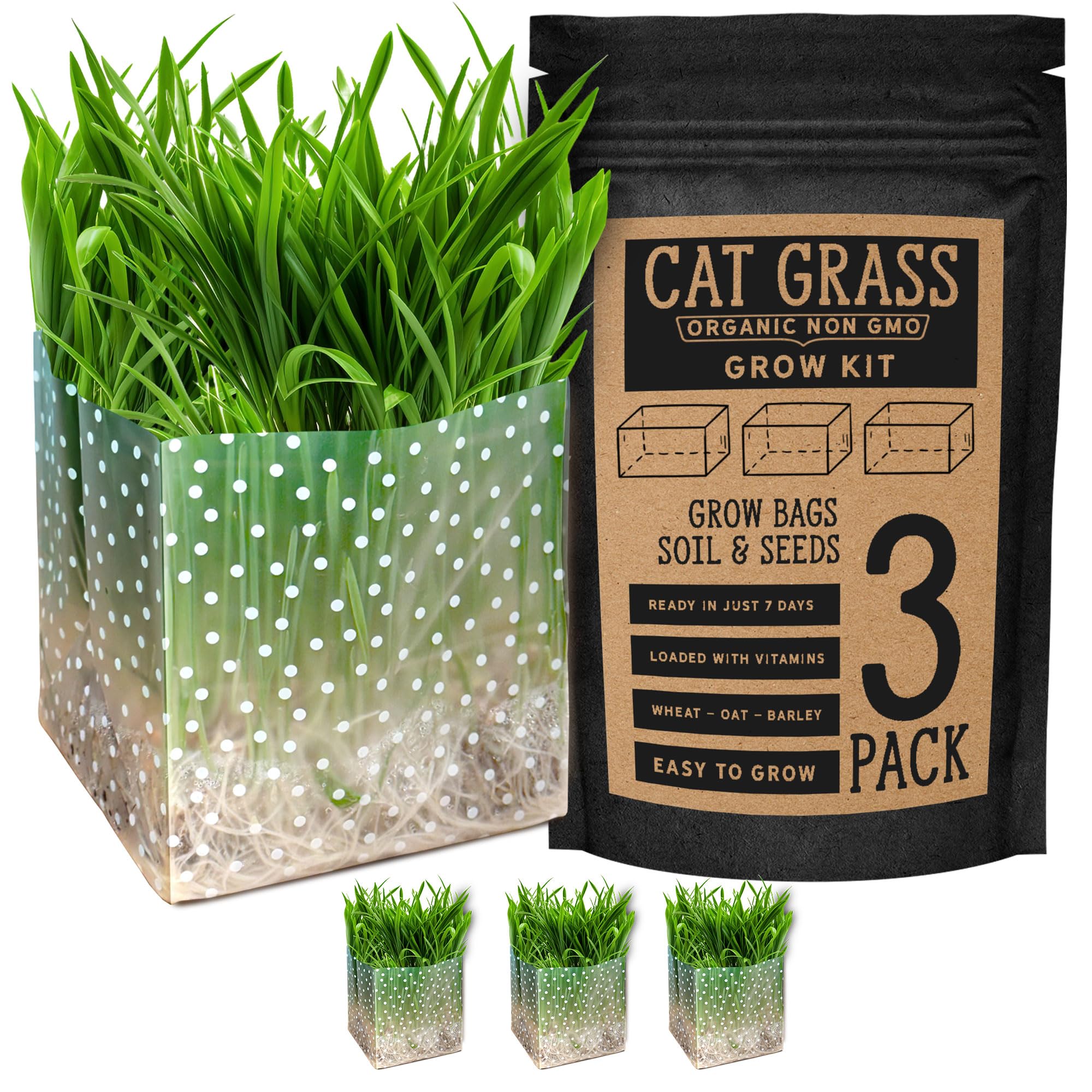ANVEVO Organic Cat Grass Kit 3 Pack