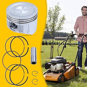 ぷりん Engine 612600081334 Fuel Filter 1000442956 R010036 FF5622