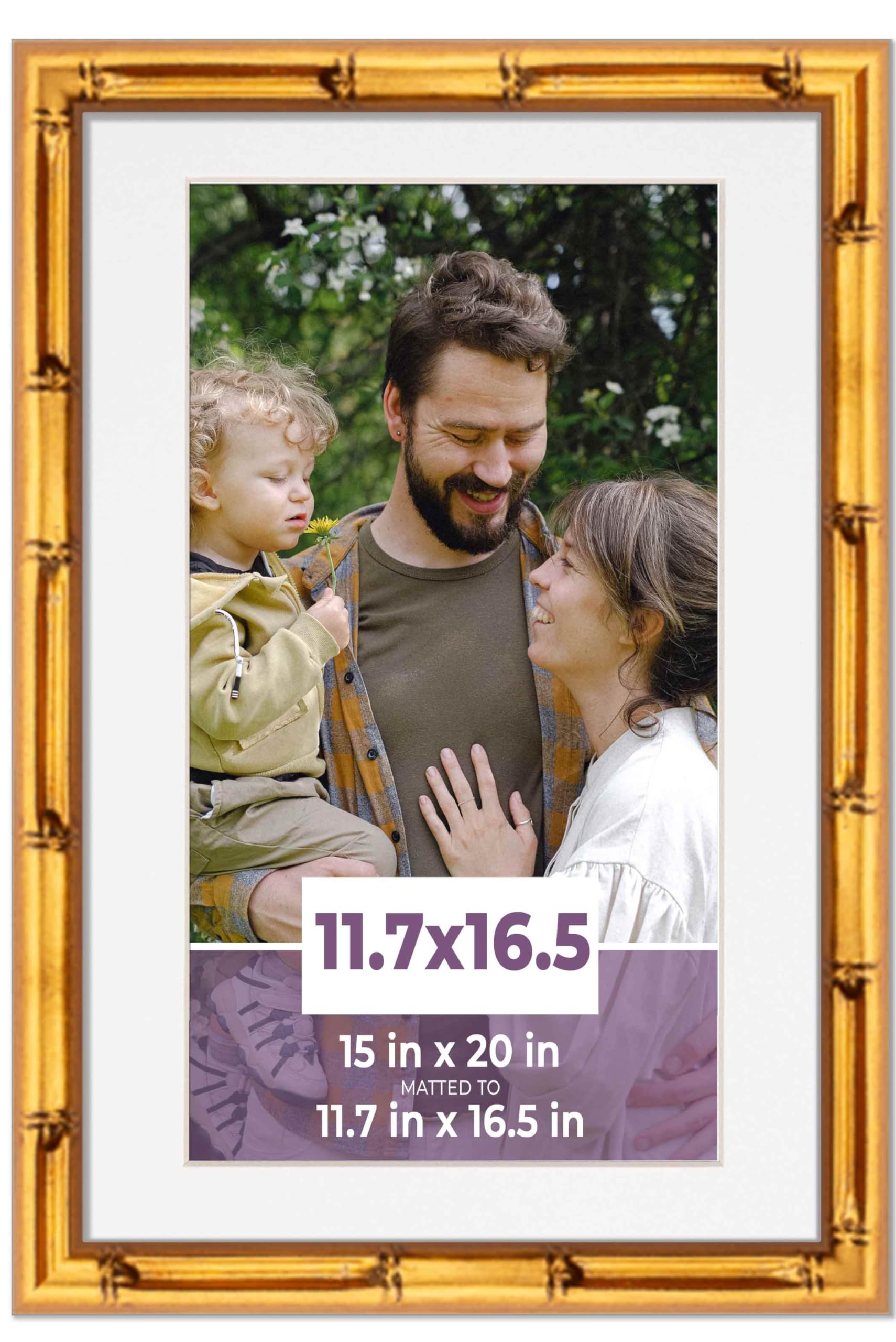 Amazon.com - CustomPictureFrames.com A3 11.7x16.5 Frame Gold