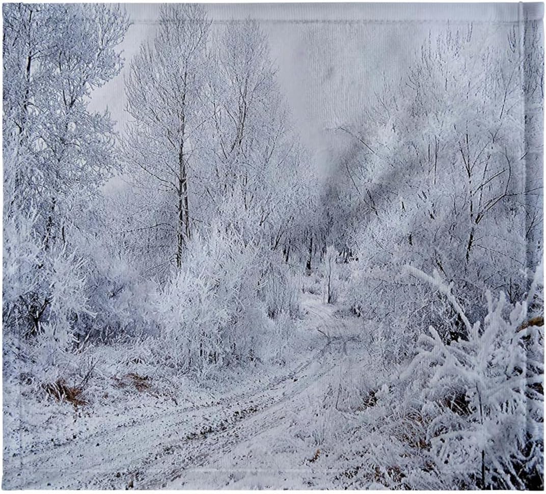 3dRose Snow Scene with Snow on Trees and Wilderness Road 22x30 Bath Hand Pool Towel