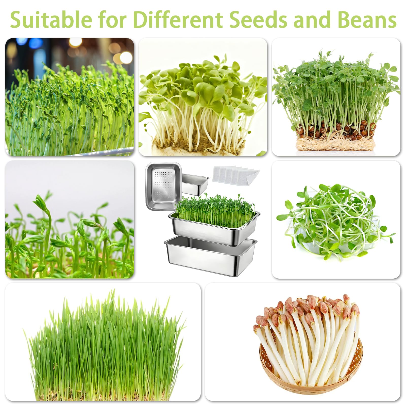 BRGD Juego de 2 Bandejas de Germinación, Bandejas de Acero Inoxidable para Cultivo de Brotes con Tela para Plántulas para Judías Verdes, Hierba Gatera, Vainilla y Perilla