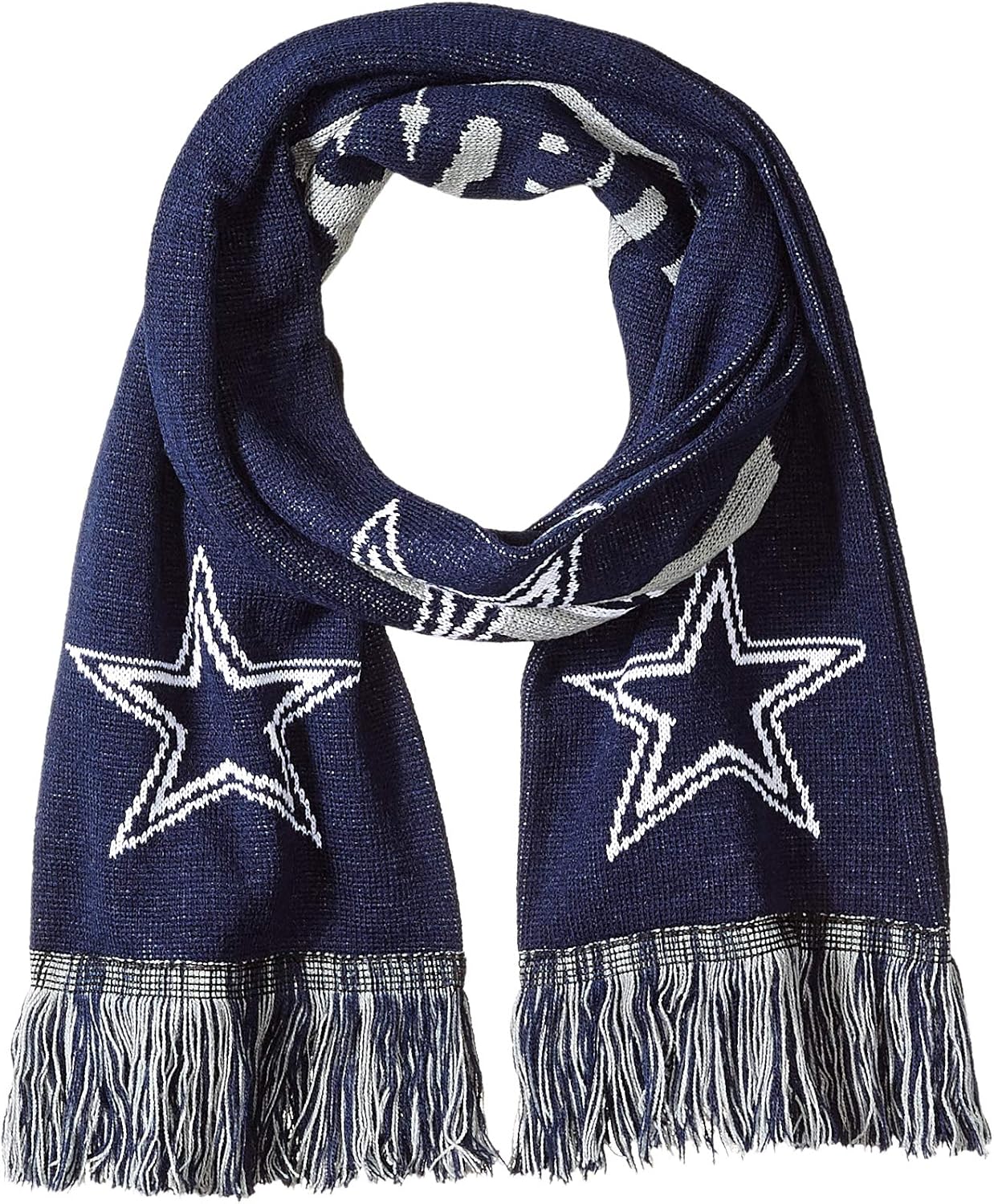 FOCO NFL unisex 2016 Big Logo Scarf