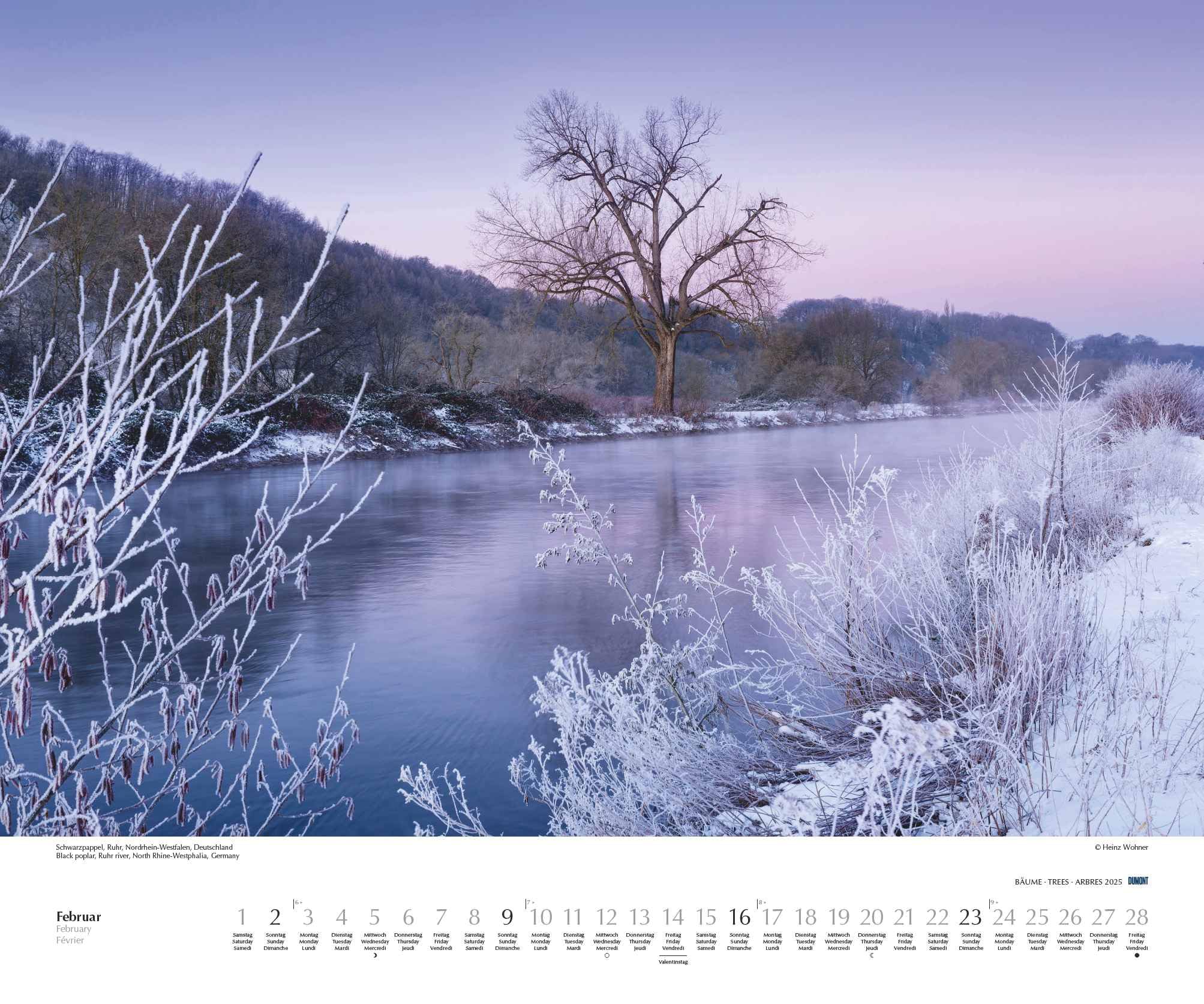 DUMONT - Bäume 2025 Wandkalender, 60x50cm, Fotokunst-Kalender mit Aufnahmen prächtiger Bäume, Abbildungen von Naturschönheiten aus aller Welt, mit Spiralbindung