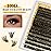 QUEWEL Lash Clusters Kit, 320Pcs 100D Lash Cluster Eyelash Extensions Mix 12-18mm 3D Eyelash Clusters with Lash Bond and Seal and Lashes Tweezers Easily Create 3D Lashes Clusters at Home(100D Kit)