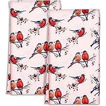 可爱厨房毛巾 2 件套 - 菜式毛巾 18 x 26 英寸超细纤维茶巾,适用于家居装饰鸟类冬季柔软可重复使用和吸收色彩美学复古设计