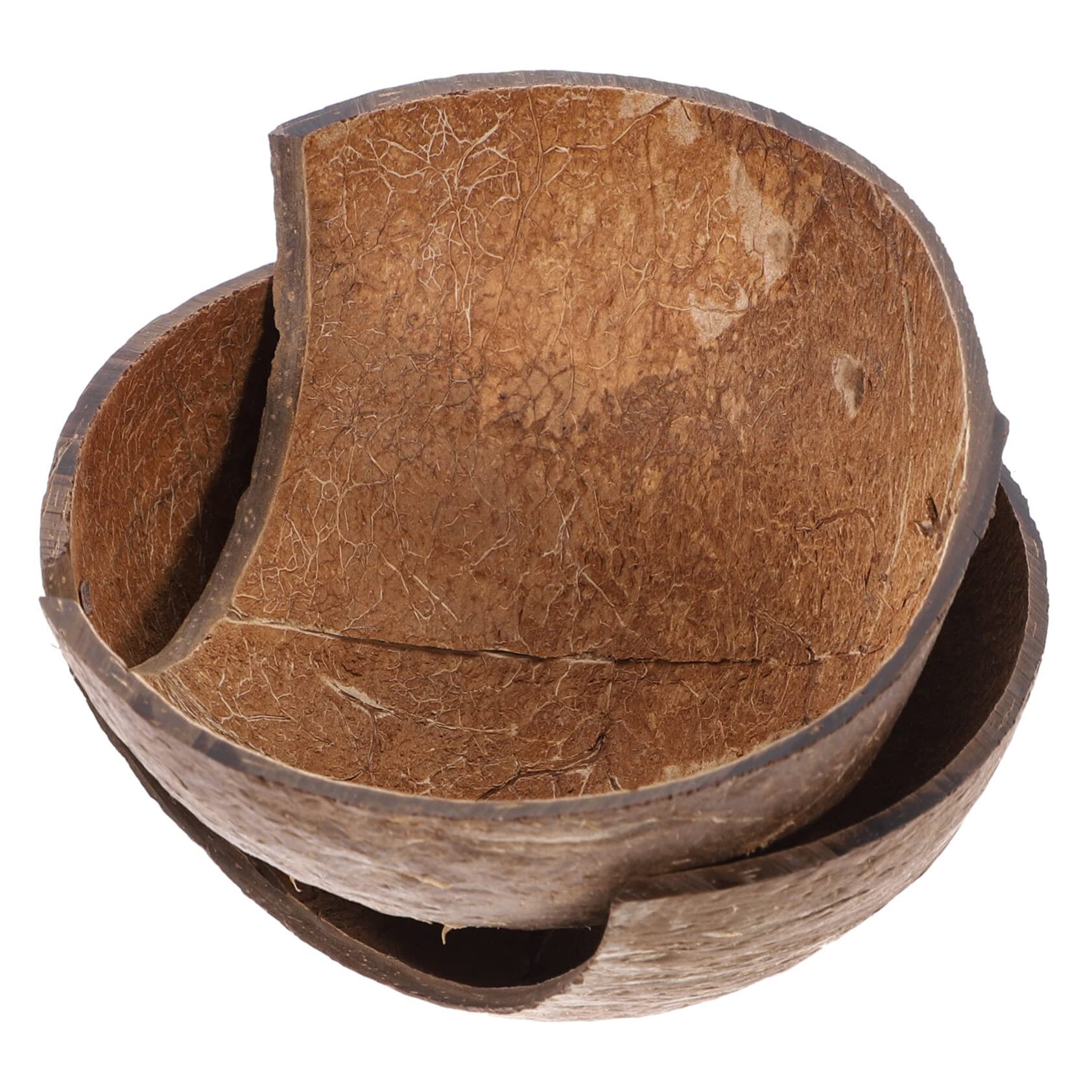 2 Cachettes Reptile En Forme De Coquille De Noix - Abri Pour Tortue, Gecko, Lézard | Décor Terrarium 12x12x7 Cm - 6