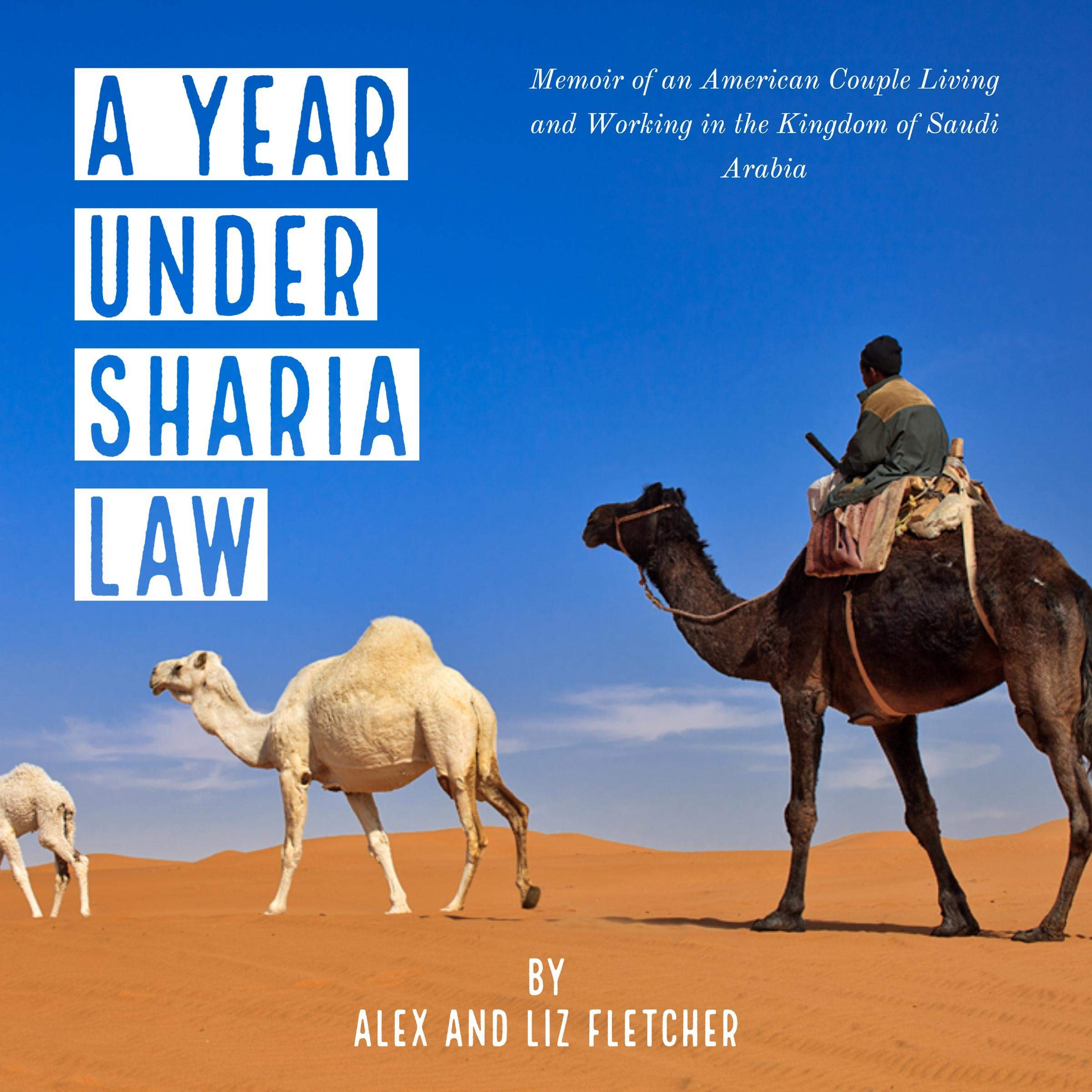Cover art for A Year Under Sharia Law