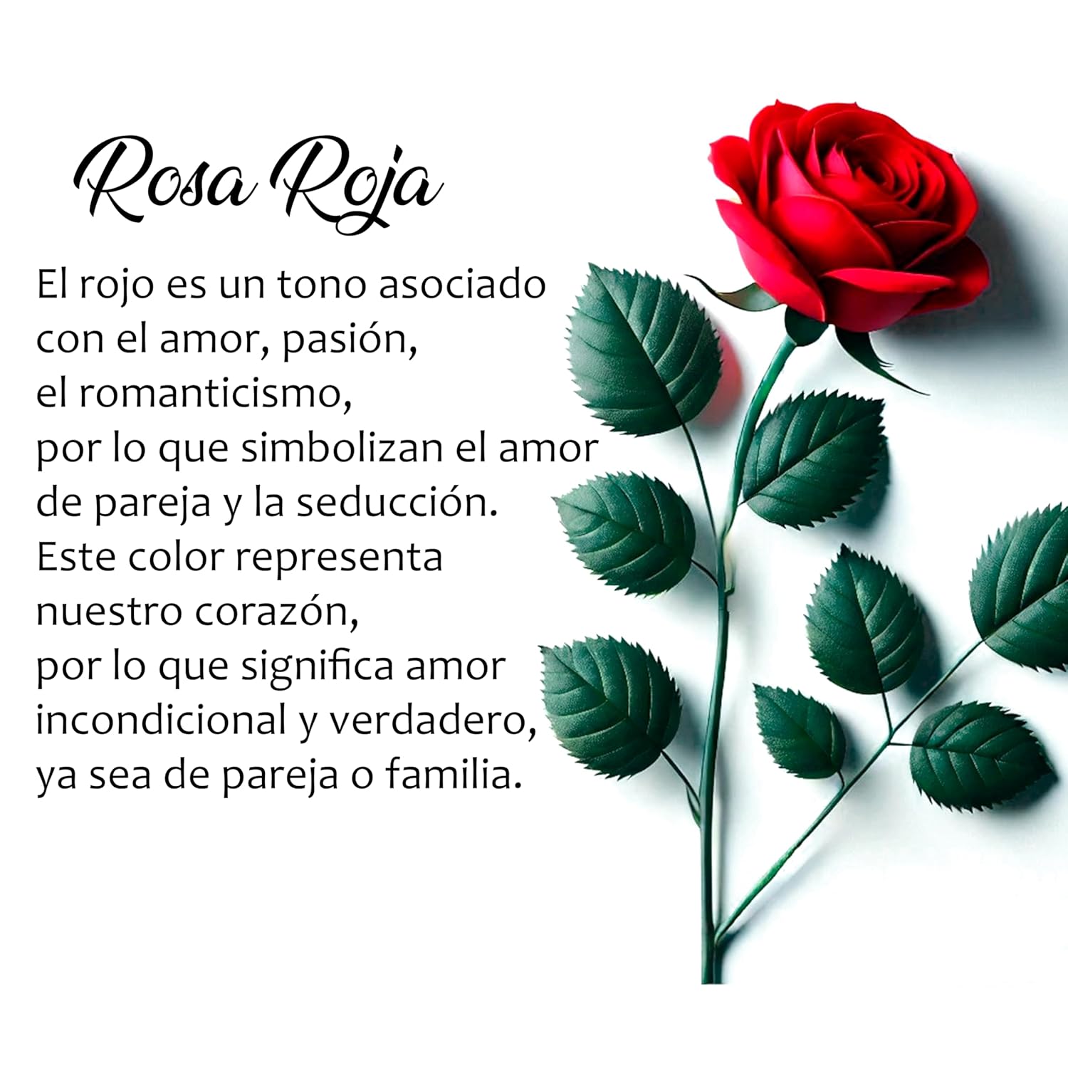 Arluma - Rosa de Madera Personalizada - Regalo Original para Día de la Madre, Sant Jordi, Aniversario - Personalizado con Nombre o Palabra- 25 Cm Roja Arluma - Rosa de Madera Personalizada - Regalo Original para Día de la Madre, Sant Jordi, Aniversario - Personalizado con Nombre o Palabra- 25 Cm Roja