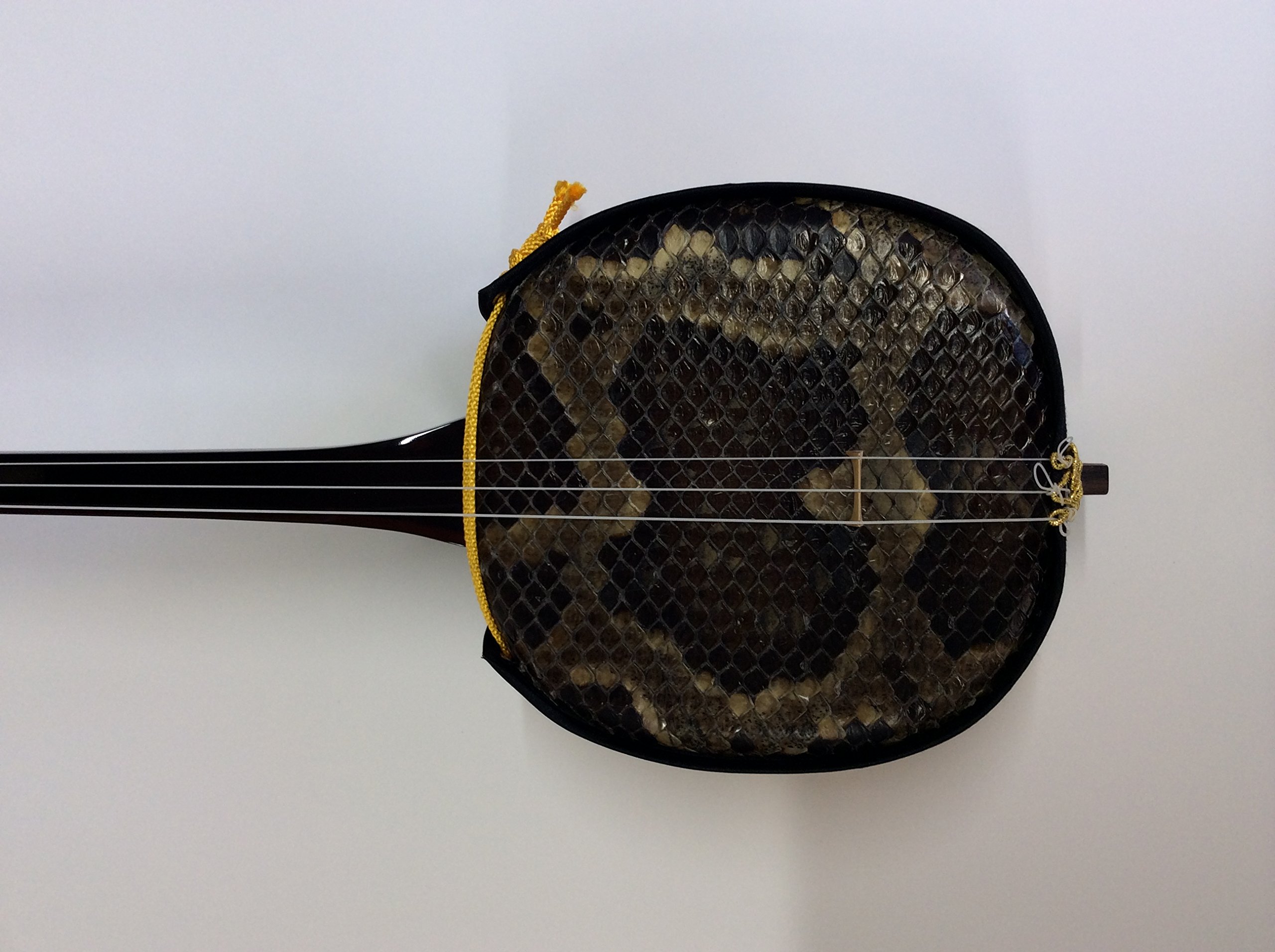 Amazon.co.jp: 本張り三線黒木カマゴン : 楽器・音響機器