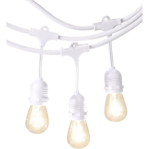 Amazon Basics Outdoor Patio String Lights, S14 Bulb, 48 Feet, White
