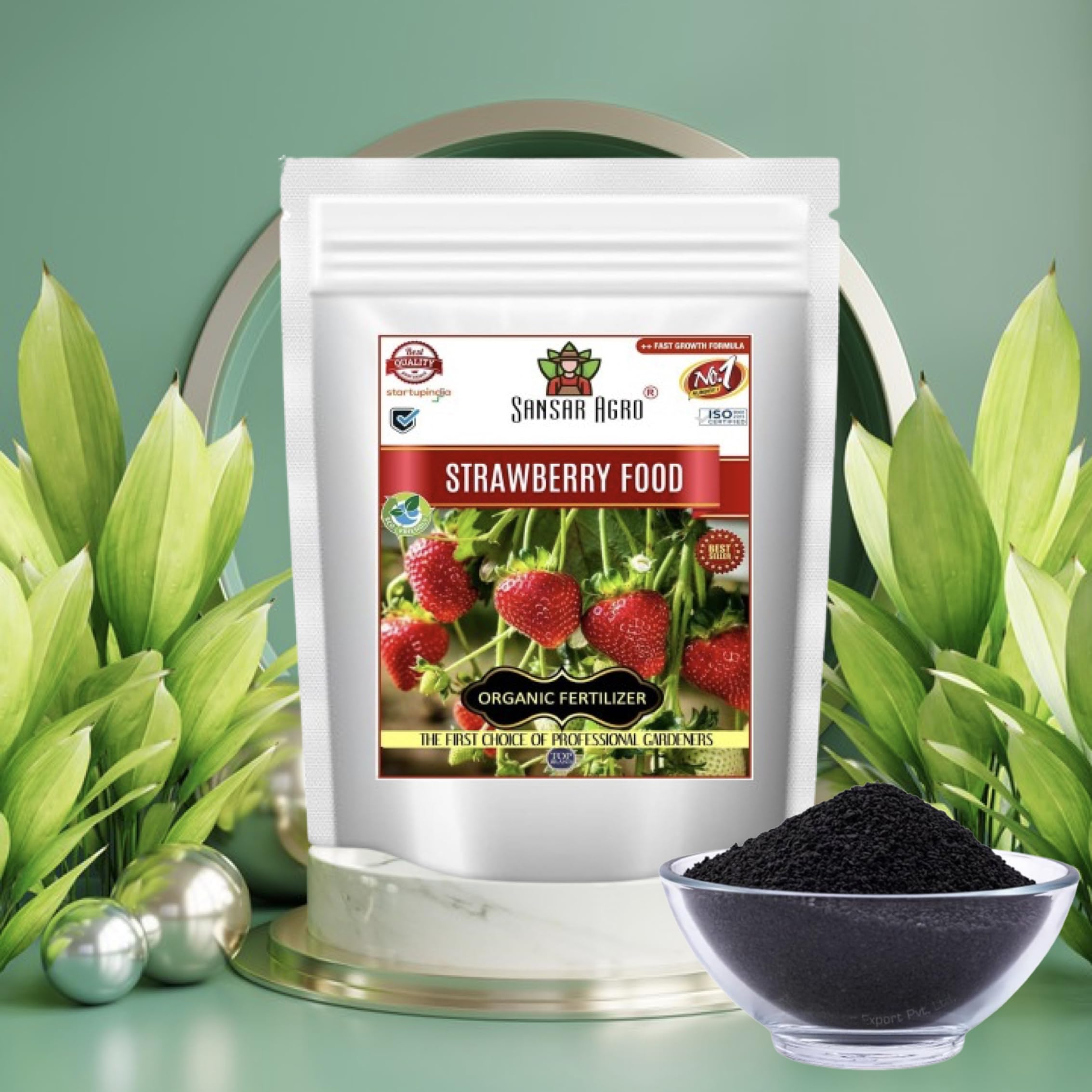 terrarium and plants Terrarium Plants Live Kit | Live Moss & Lichen Collection