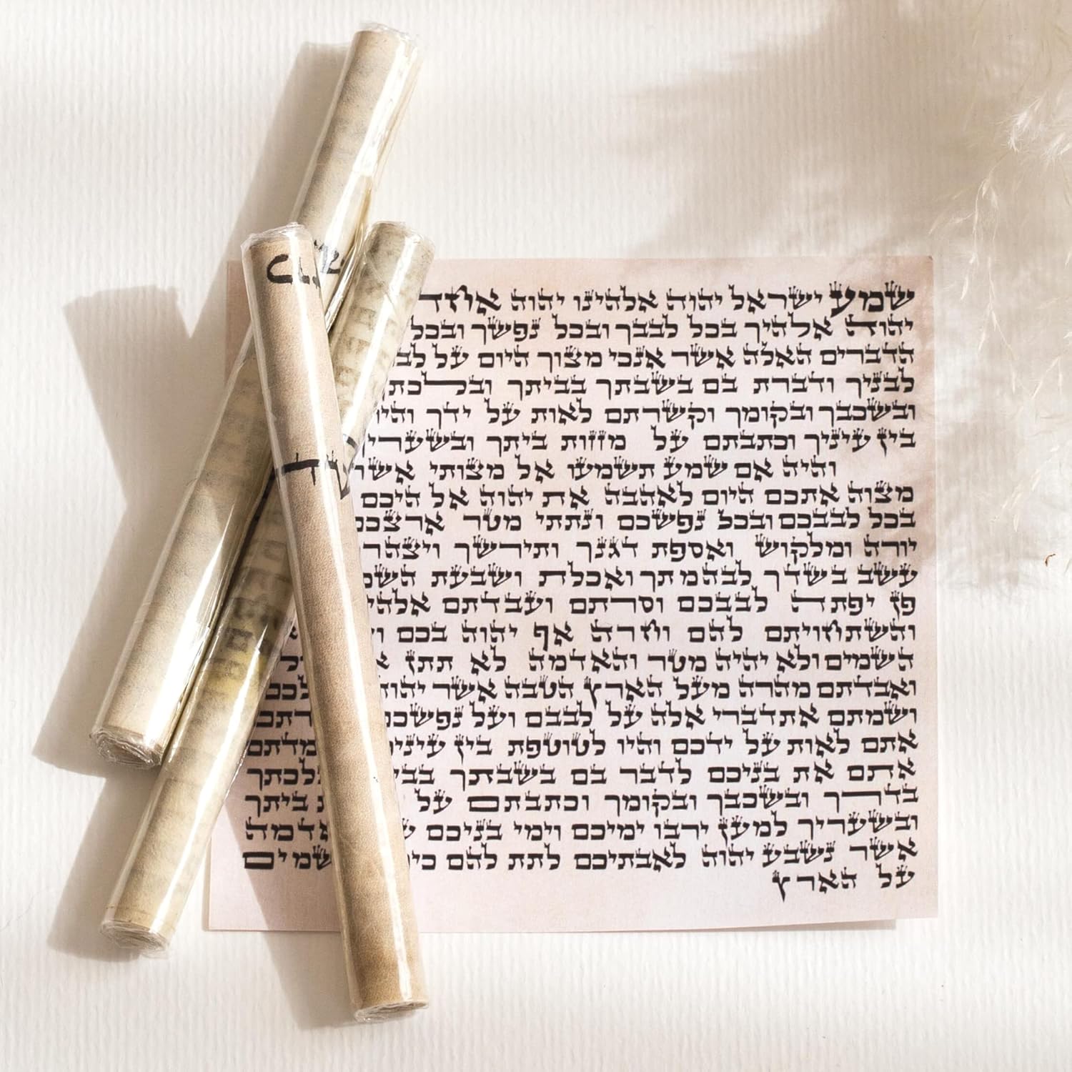 Buy SURI Kosher Mezuzah Scroll 5 (12cm) Made in Israel, HandWritten by