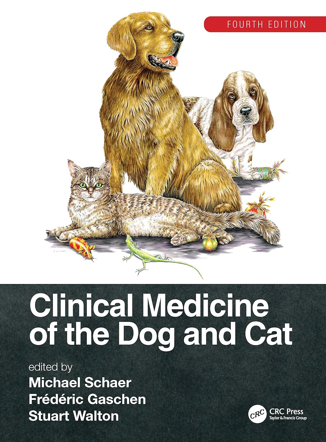 Clinical Medicine of the Dog and Cat      4th Edition