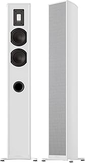 wireless floor speakers