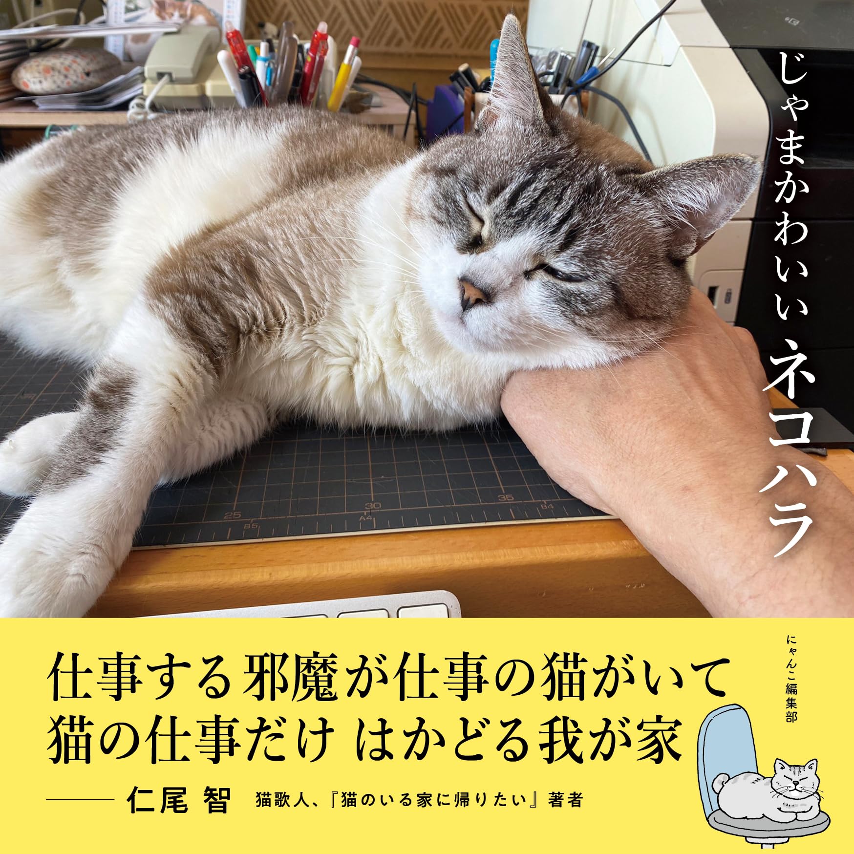 じゃまかわいいネコハラ ([テキスト]) | にゃんこ編集部 |本 | 通販