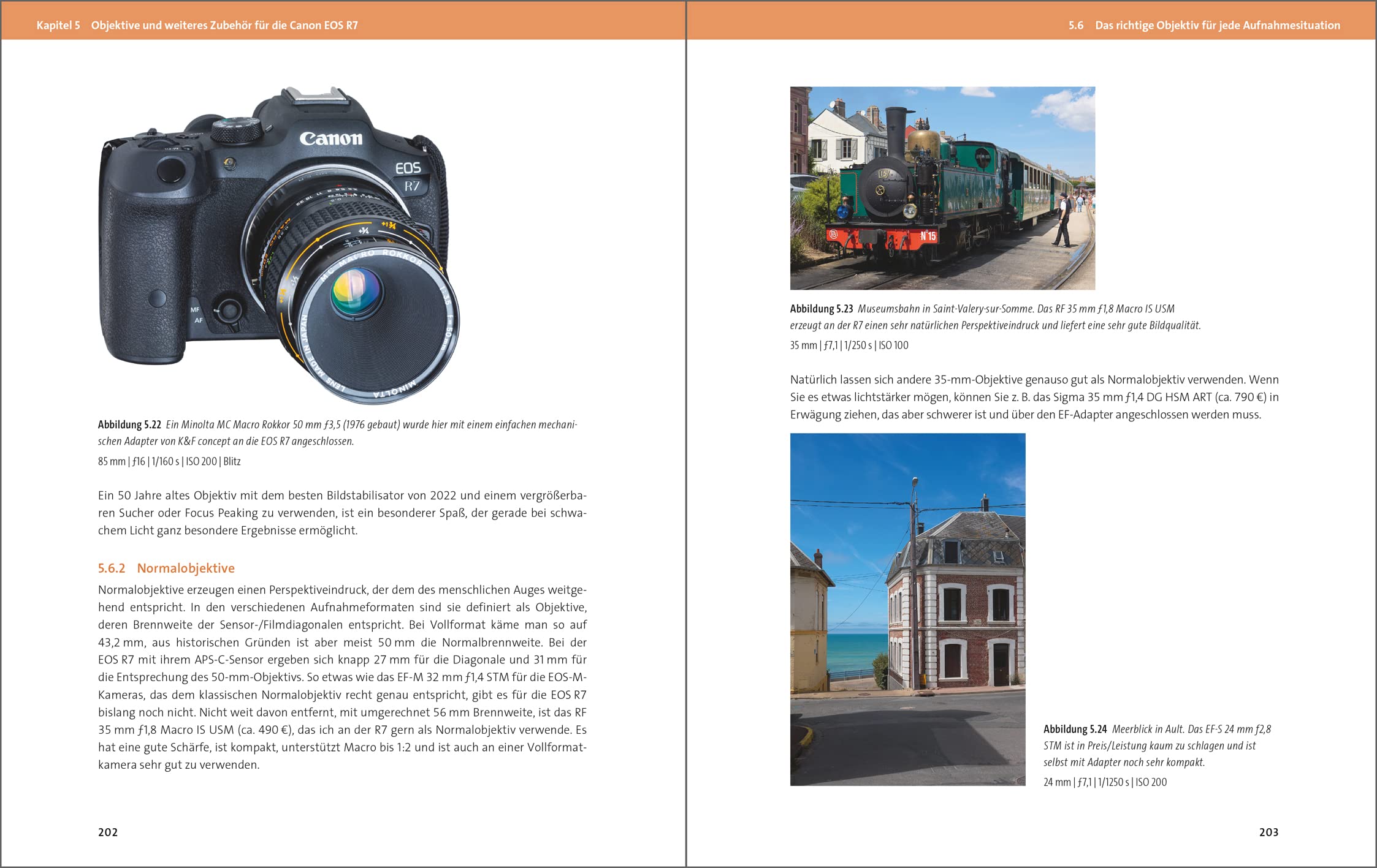 Canon EOS R7: Professionell fotografieren mit der spiegellosen APS-C-Kamera