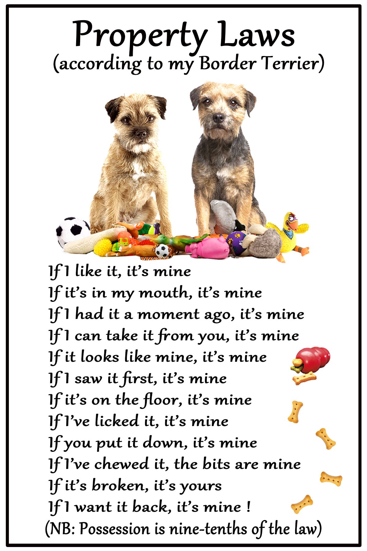 Fridge Magnets Brown, Black, White Border Terrier Gift - Property Laws - Large Fun Flexible Size 16 Cms X 10 Cms (Approx. 6 X 4 Inches)