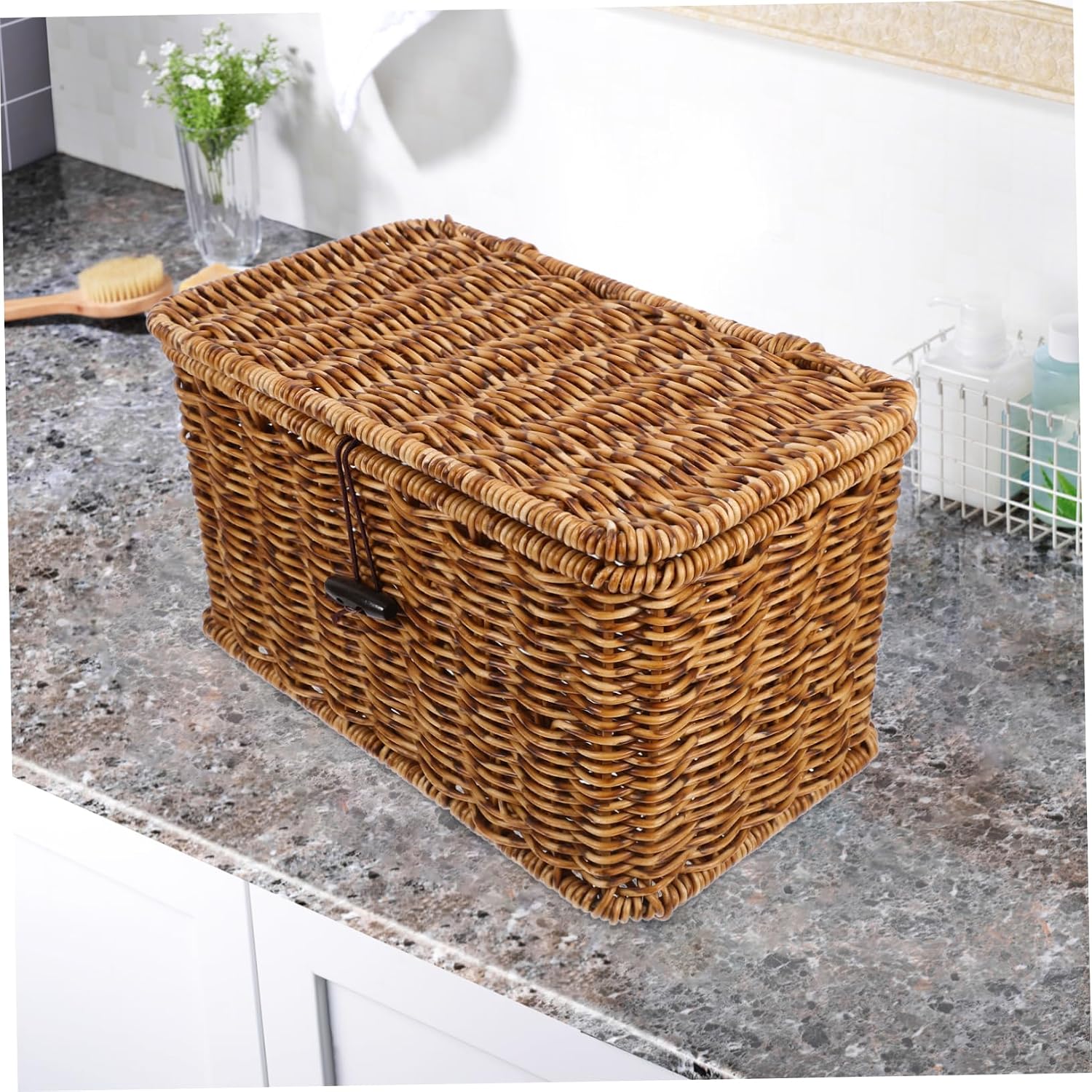 Fine Craftsmanship Woven Storage Box Iron Frame Rattan Organizer Lid Home Decor 24x14x13
