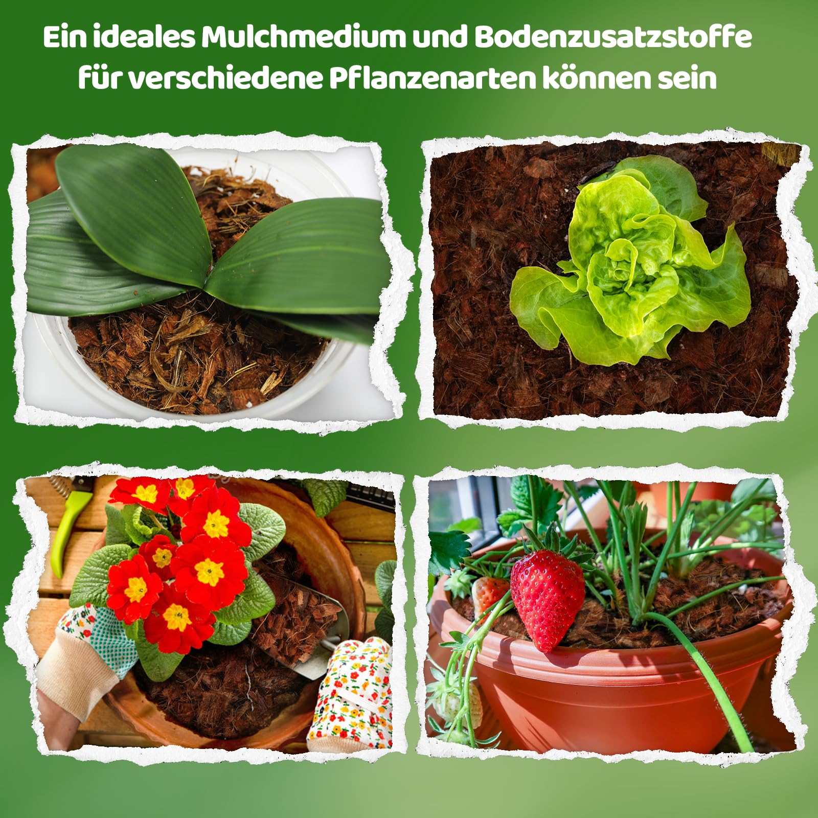 Kokoschips Pflanzen Substrat, Bio Kokosnussschalenziegel mit niedrigem EC- und pH-Ausgleich, leicht erweiterbares Kokosfaser-Mulchmedium für Gartenblumen & Reptilienbeete (6 Stück)