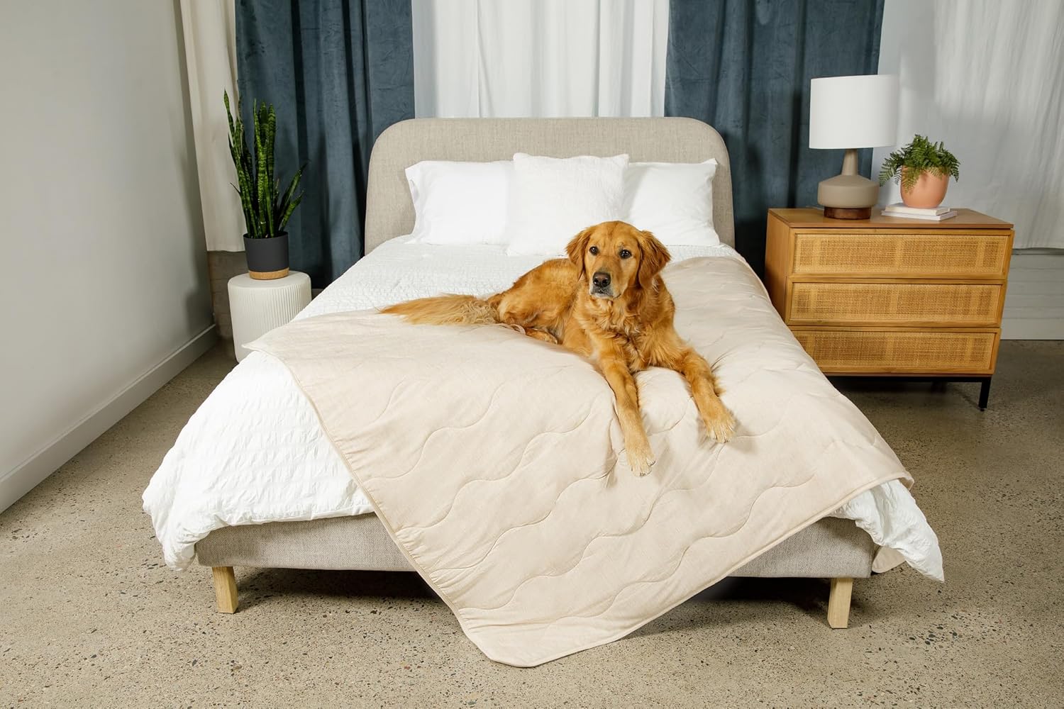 PAW BRANDS PupChill Cooling Waterproof Pet Blanket for Dogs and Cats (Arctic Sand, Original (60" L x 50" W)