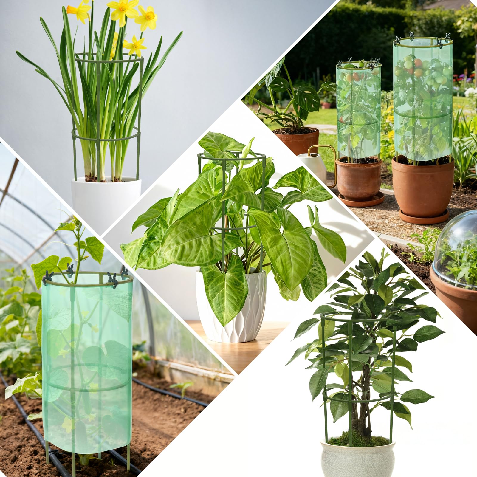 2 x Pflanzenglocke für den Garten