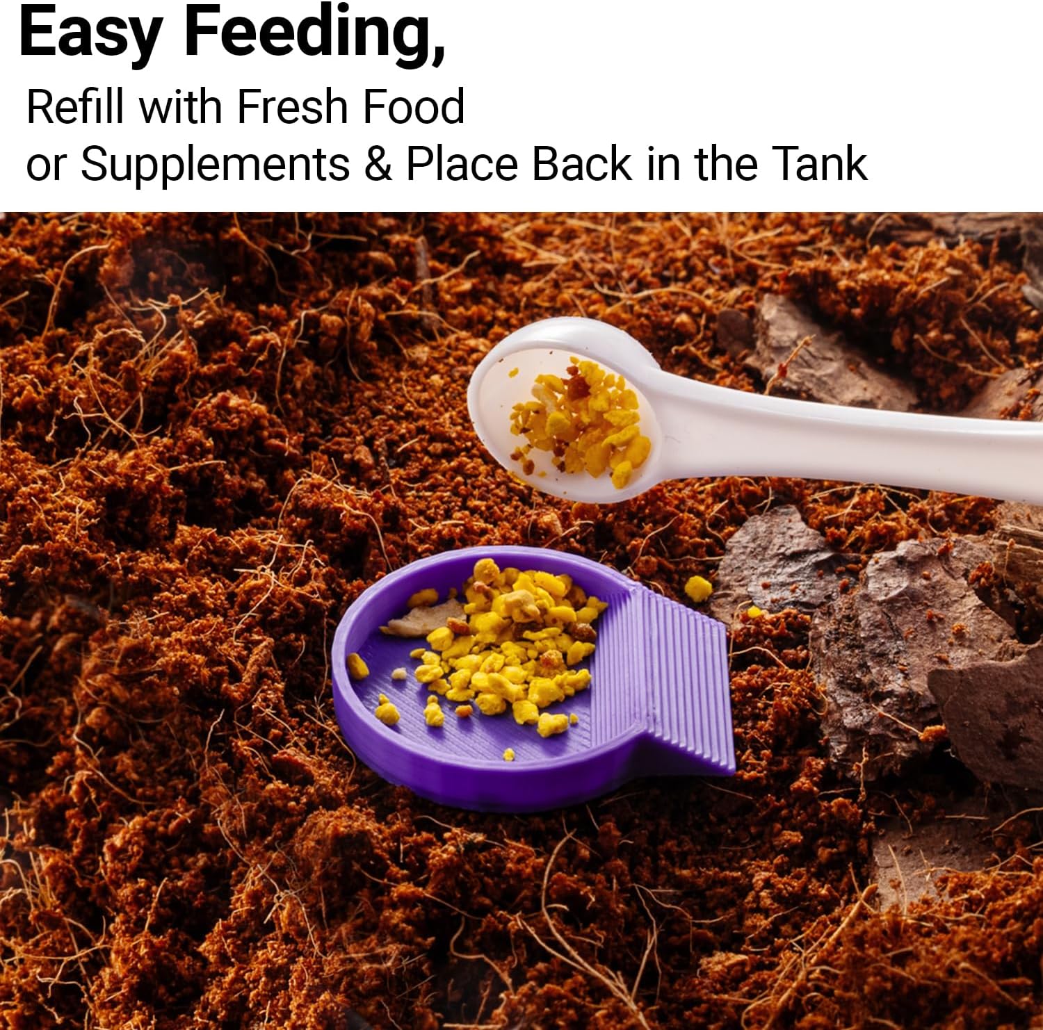 12-Pack Feeding Dish for Invertebrates – Feeder Bowls for Dubia Roaches, Isopods, Springtails, Superworms, Small Insects & More – Mini Bowls for Reptile Food & Supplements image 5