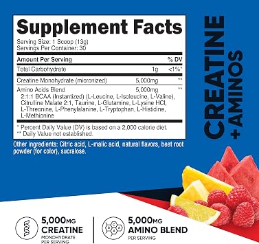 Nutricost Creatine + Aminos BCAA Blend (Fruit Punch Flavored) 30 Servings