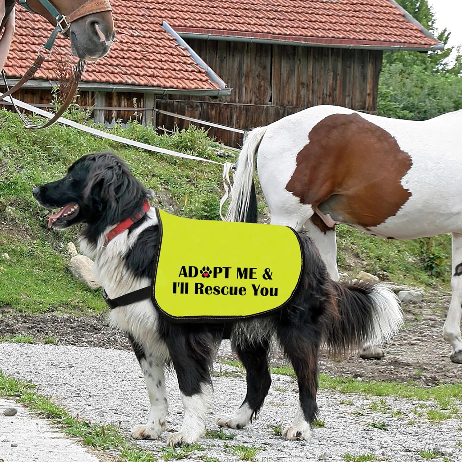 Dog Adoption Jacket Vest Adopt Me I Will Rescue You Dog Harness Rescue Pitbull Slogan Vest (I'll Rescue You-Medium) - Image 6