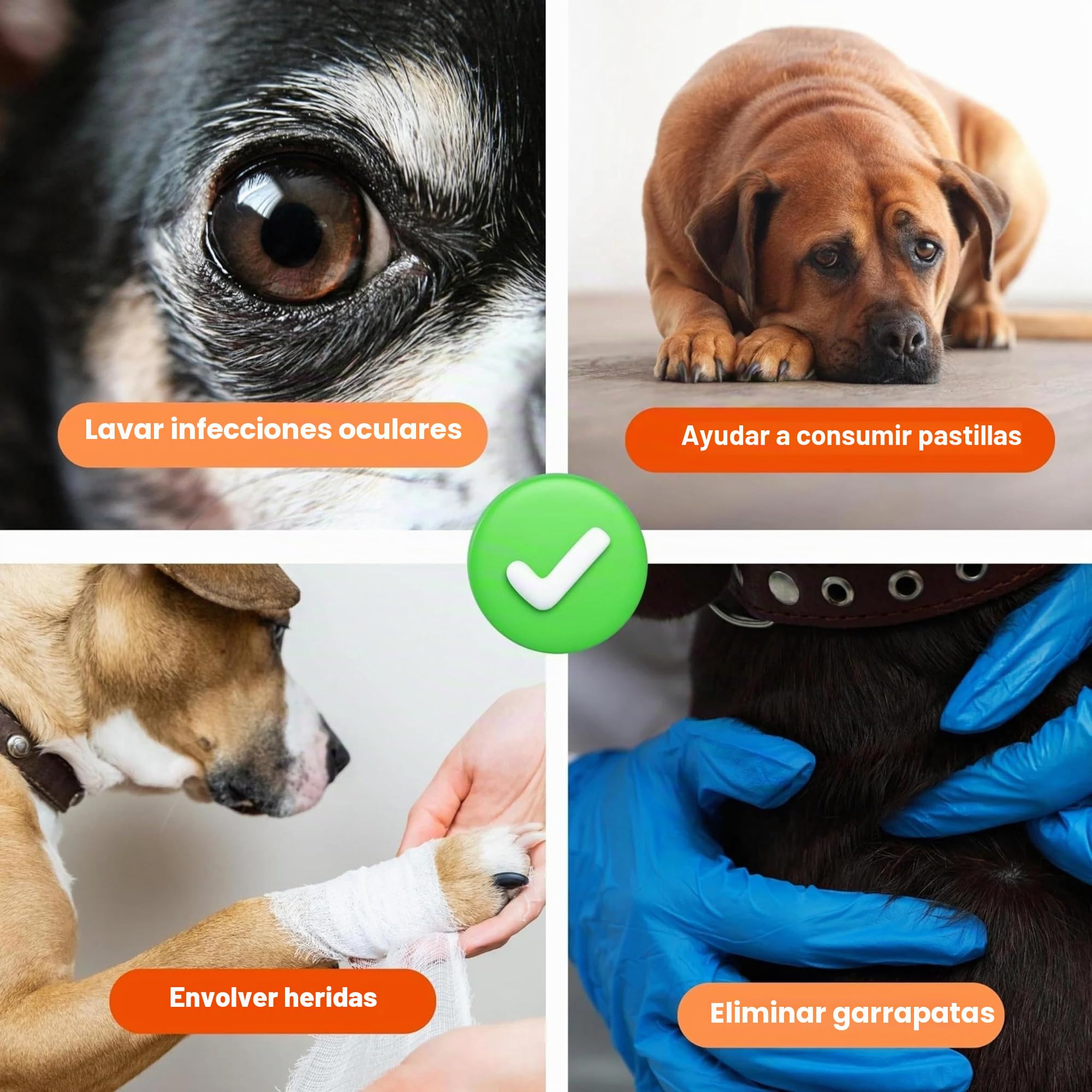 TheDogTagCo Kit de primeros auxilios para perros, más de 40 suministros de salud, compacto y portátil, prepárate para cualquier emergencia de mascotas V2