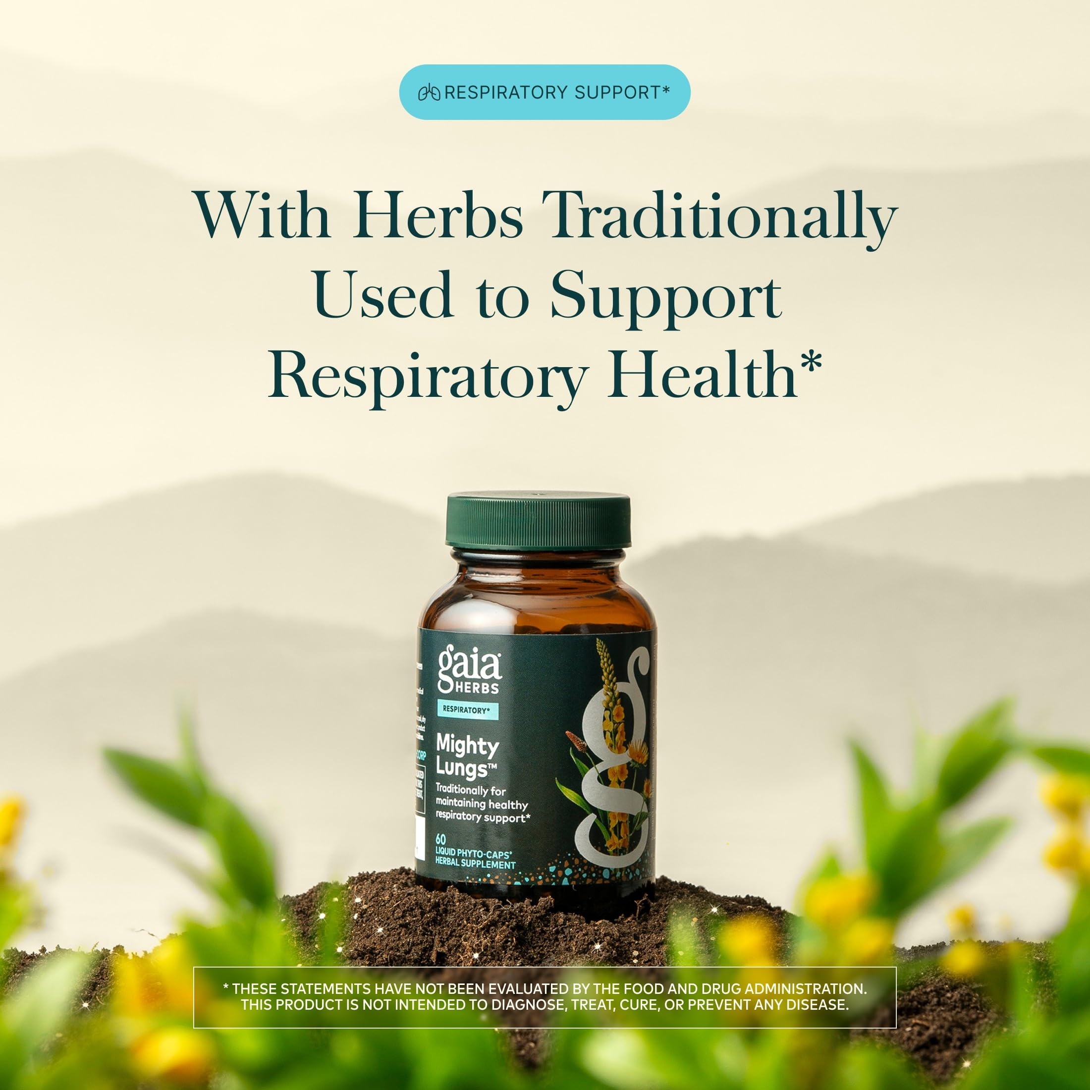 Gaia Herbs Mighty Lungs, 60 Vegan Capsules, 60 Servings — Amazon image 3