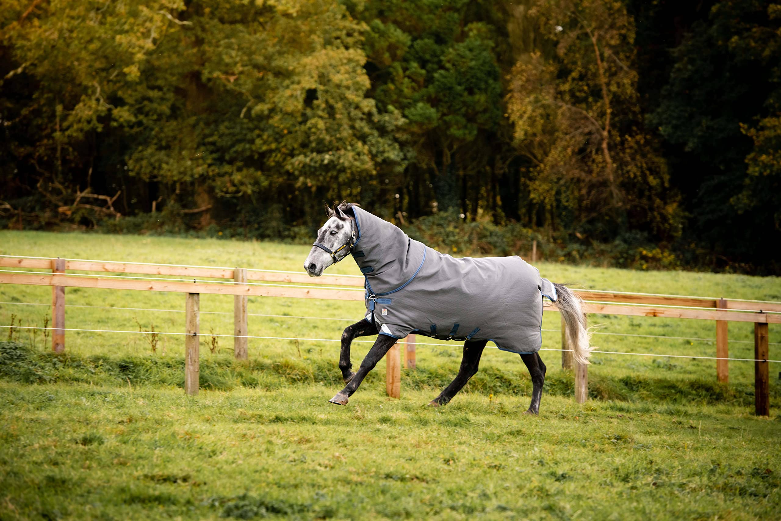 Rhino Plus HexSTOP VL Medium couverture de box 87 gris indigo pour cheval