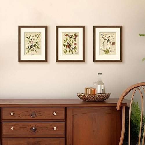 Vista 404 de upsimples - Portarretratos de 8.5 x 11 pulgadas, para fotos de 6 x 8 pulgadas con paspartú o de 8.5 x 11 pulgadas sin paspartú, marcos de fotos