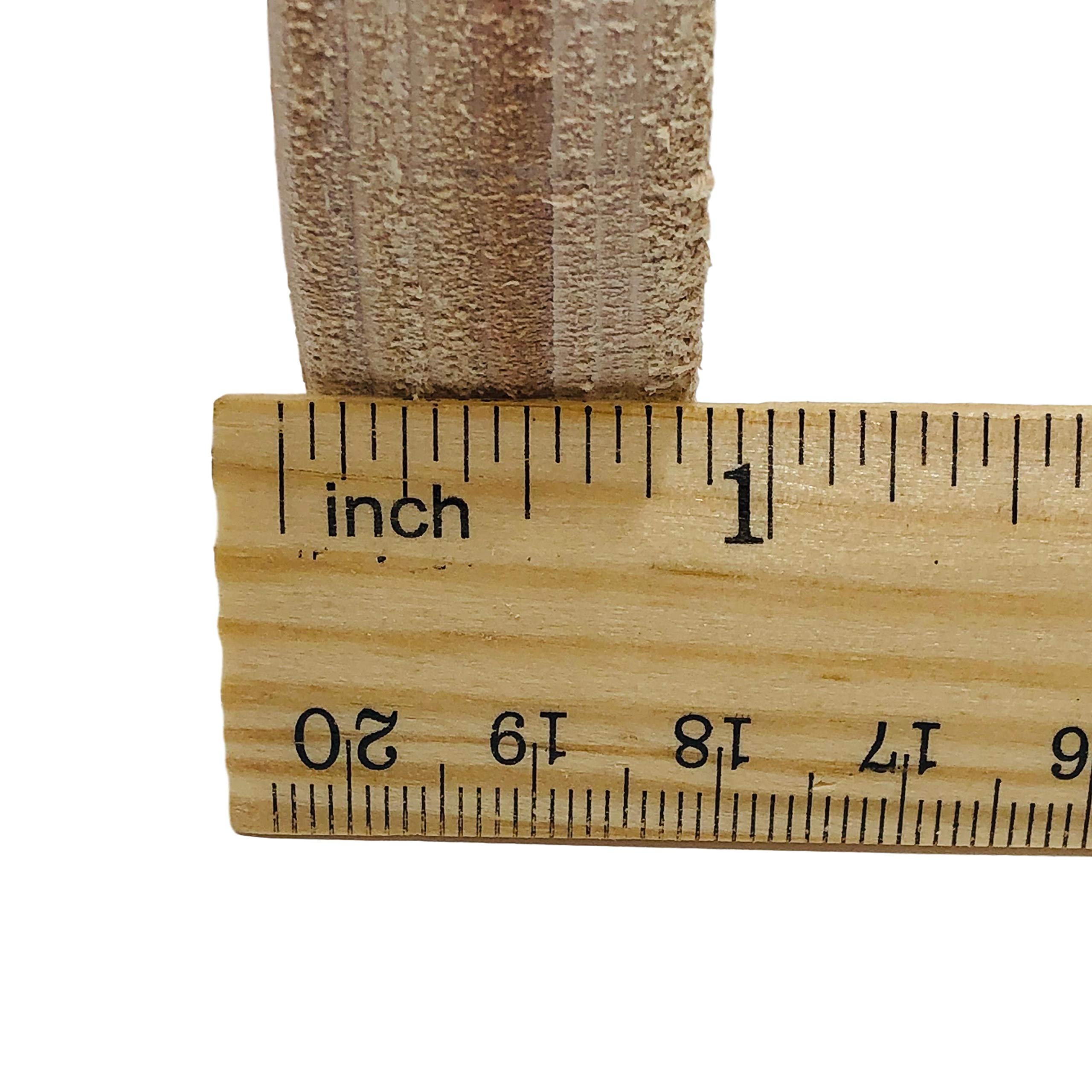 Leder-Rad 7,6 cm (3/4 Zoll) Breite, passend für 12,7 cm Pavillon, Polierscheibe
