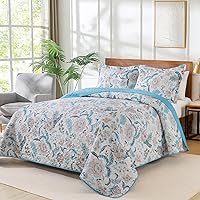 Vista 84 de VAPUTAR Juego de ropa de cama tamaño Queen – 3 piezas, edredón bohemio, colcha reversible ligera para dormitorio de granja (floral)
