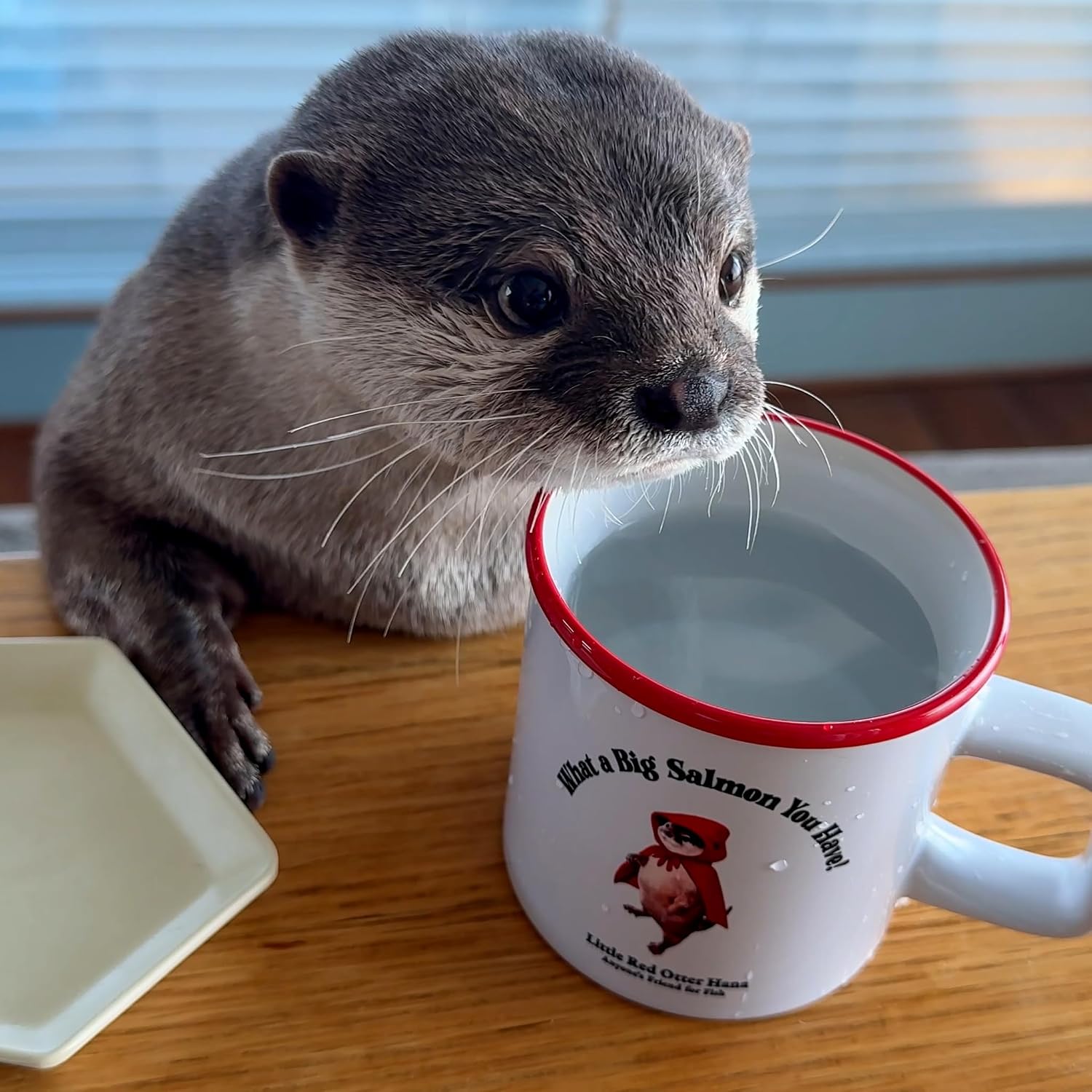 Official Little Red Otter Hana Round-Lip Mug