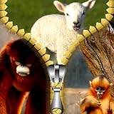 Legen Sie den Namen und definieren ihre Farbe und Schriftart -