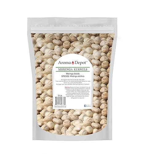 Semillas de moringa de 2 libras KERNEL sin cáscara limpias, 100% naturales, crudas superalimentos nutricionales, ricas en vitaminas, semillas
