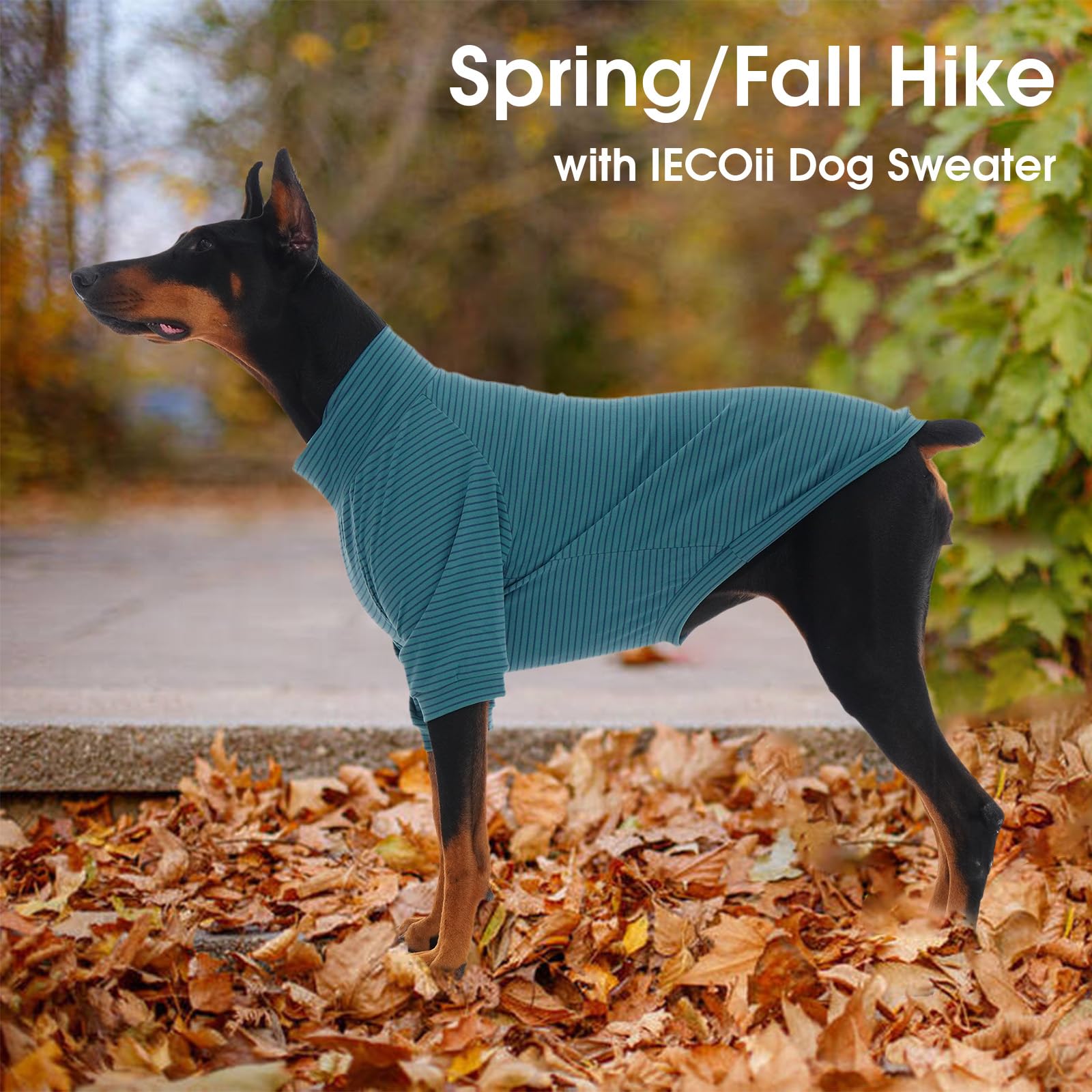 IECOii Lot de 2 pulls en polaire pour chien de petite taille, chaud à col roulé avec extensible pour teckel, pull confortable pour l'automne et l'hiver – Chandail d'intérieur et d'extérieur pour la