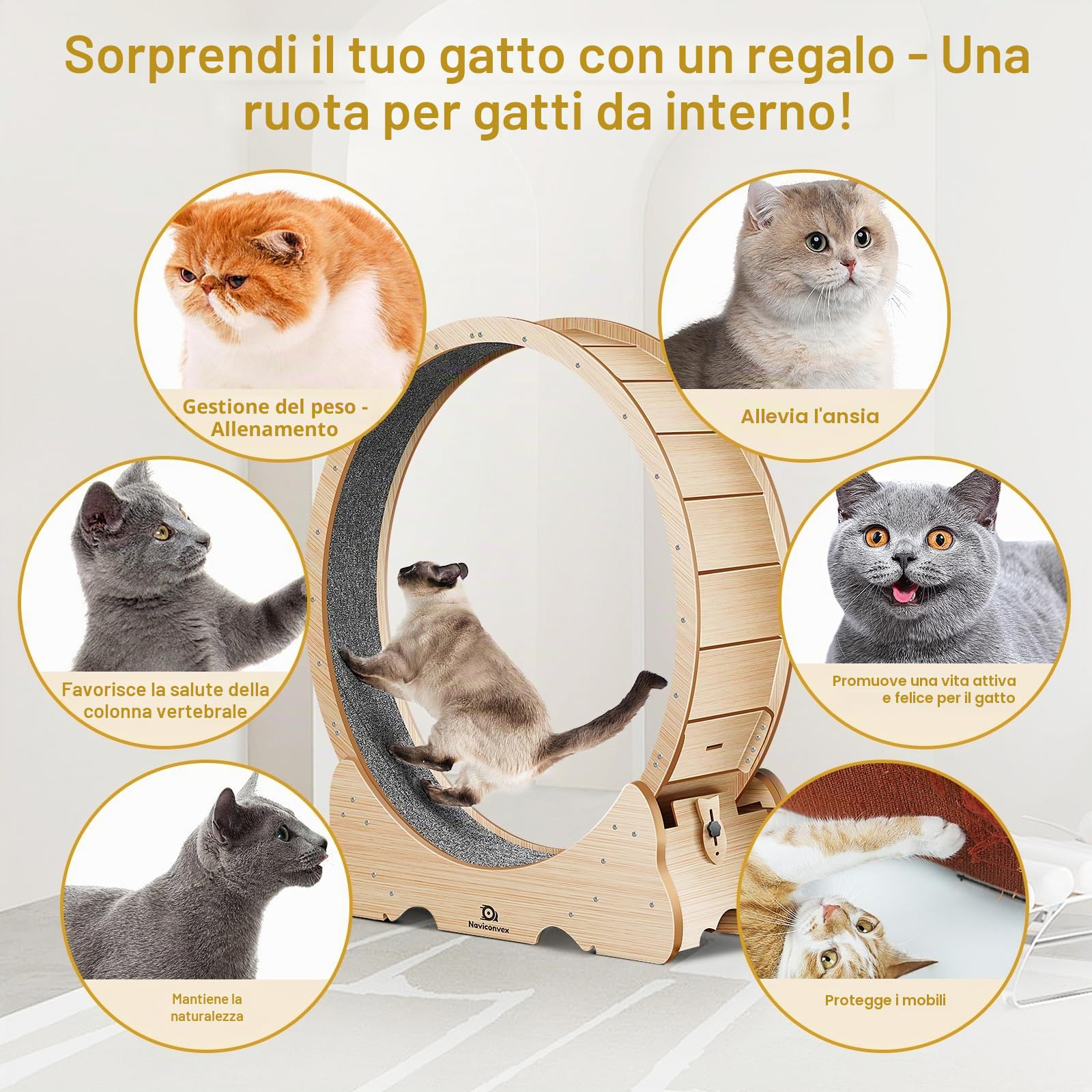 ruota per gatti XXL colore legno naturale – Ruota per gatto diametro 135cm, silenziosa e robusta per esercizio e intrattenimento in casa – Design elegante, ideale per gatti grandi e attivi