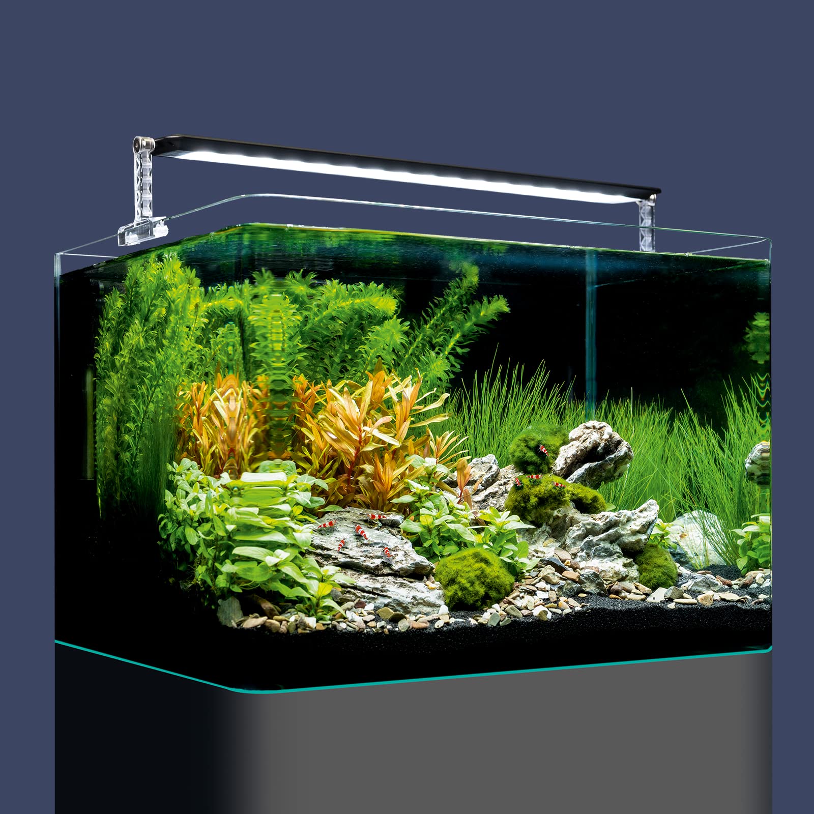 Dennerle Nano Tank Plant Pro, 35 Liter - 40 x 32 x 28 cm - Nano Aquascaping Aquarium Set