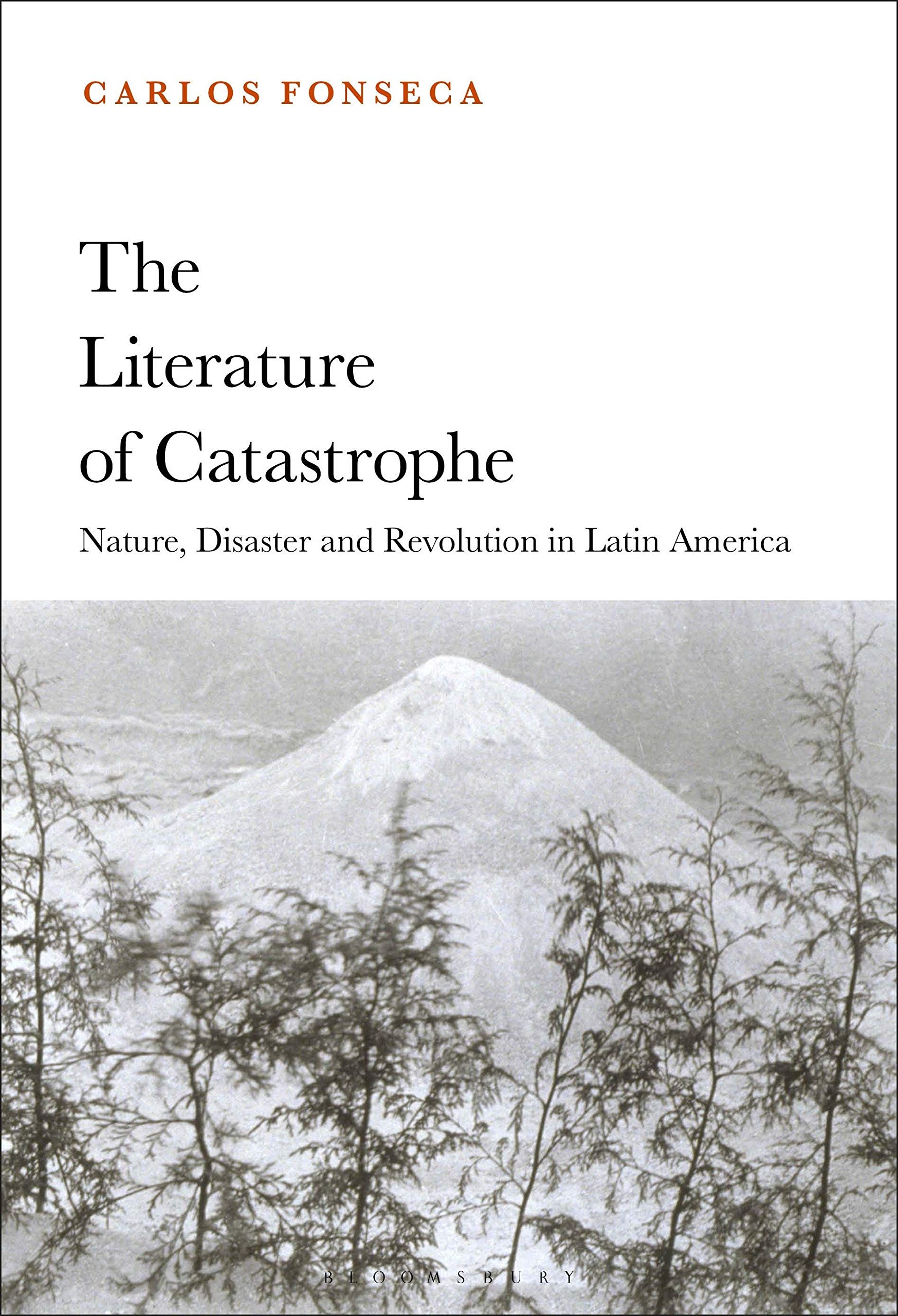 Literature of Catastrophe, The: Nature, Disaster and Revolution in Latin America