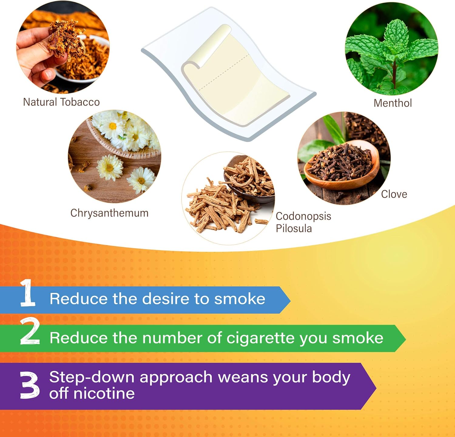 Nicotine Patches to Help Quit Smoking, Stop Smoking - Delivered Over 24 Hours Nicotine Transdermal System to Stop Smoking Aids That Work (Stop Smoking) (42 Count(Pack of 2))