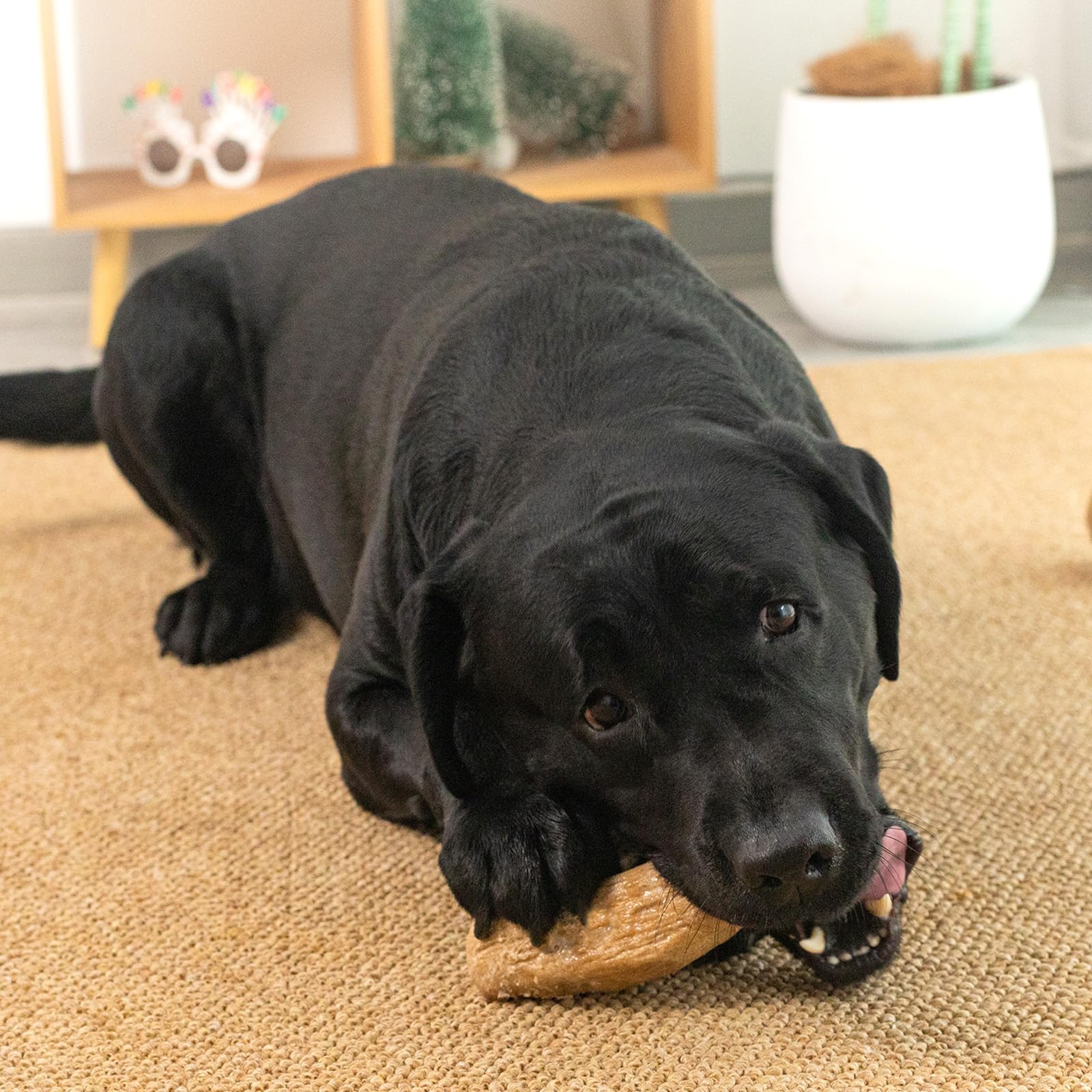 Willjoy Robustes Hundespielzeug für aggressive Kauer, Kiefernholz und Nylon, Hundespielzeug für große Hunde, Speck, unzerstörbares Hundespielzeug, großes Hundespielzeug, um sie zu beschäftigen,