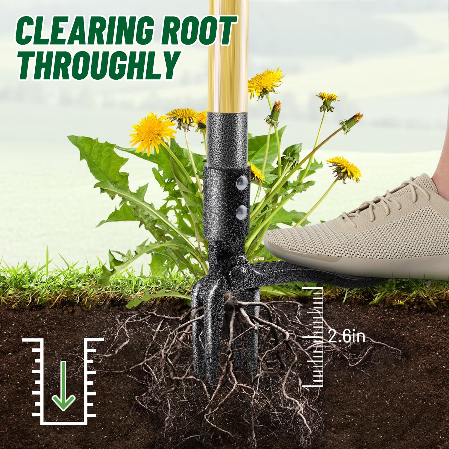 ORMALLA Weed Puller, 43.7in Long Handle Weed Remover, Dandelion Removal Tool, Natural Bamboo Handle and 4 Claws, Stand Up Garden Weed Root Remover, Pet Friendly (Upgrade) - Image 3