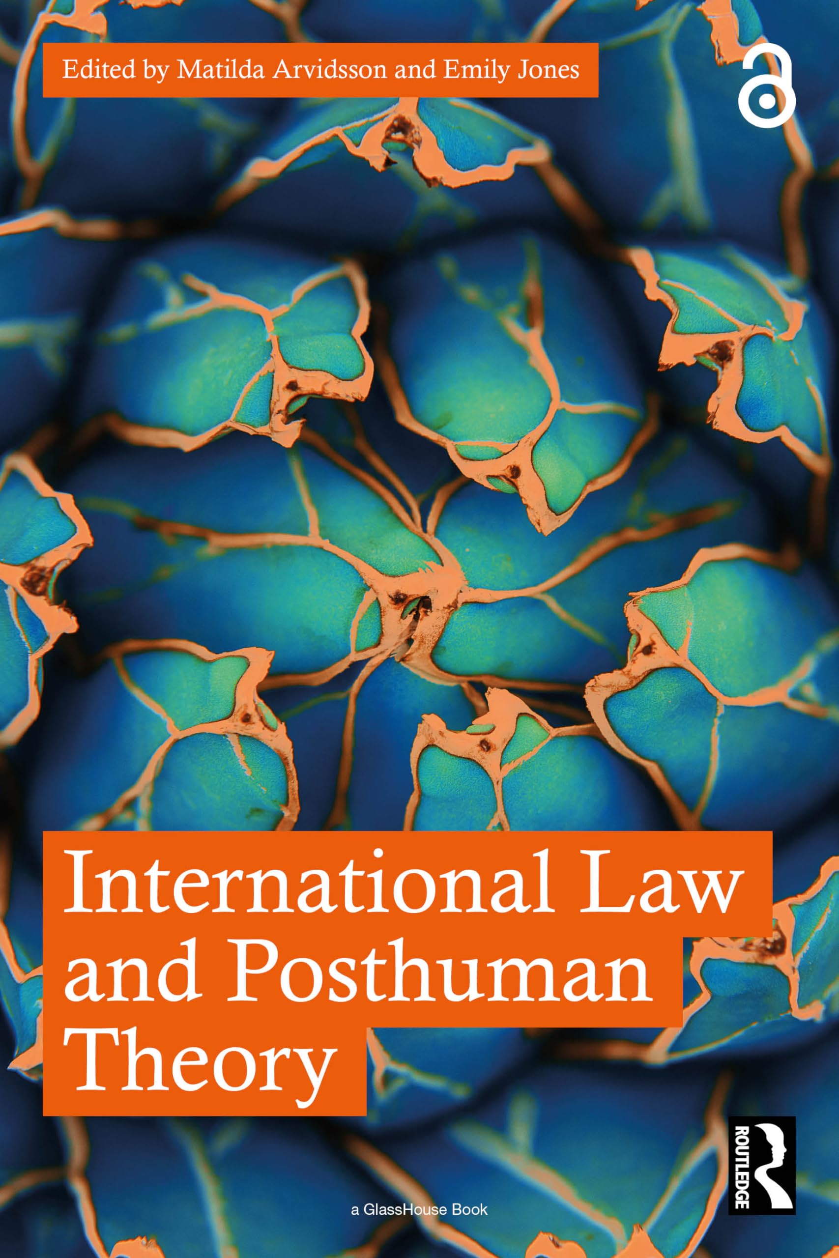 International Law and Posthuman Theory
