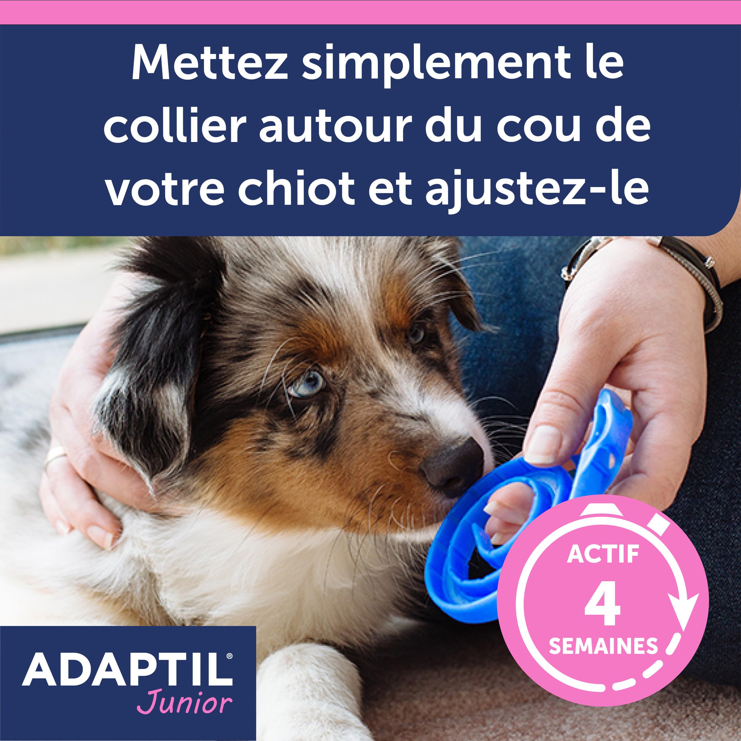 ADAPTIL Junior – Anti-stress pour chien – Collier Pour Chiots