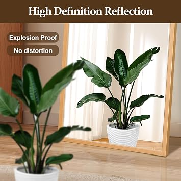 Full Length Mirror, 64x21 Full Body Mirror Wall-Mounted or Freestanding, Modern Standing Mirror for Bedroom, Living Room, or Cloakroom, Shatterproof, Easy Assembly