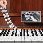 Notes pour piano Superposition 61 Bande de clavier, Azymi Étiquettes de clés pour piano 61 Clé pour le débutant, Removable Multi-couleur Grandes Lettres Guide de Piano Silicone