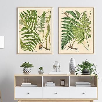 壁掛けインテリア 壁飾り シダ植物 壁掛けインテリア 壁飾り シダ植物 楽天市場】シダ 壁飾りの通販