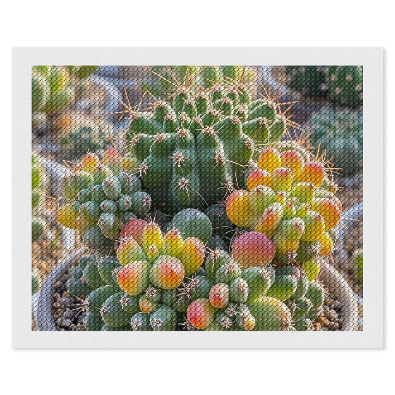 Cute Succulent Cactus Diamond Painting Kits for Adults, DIY 5D Diamond Painting Kits for Beginners, Round Full Drill Diamond Dots Paintings, Diamonds Pictures Gem Art for Crafts Home Decor 16"x20"